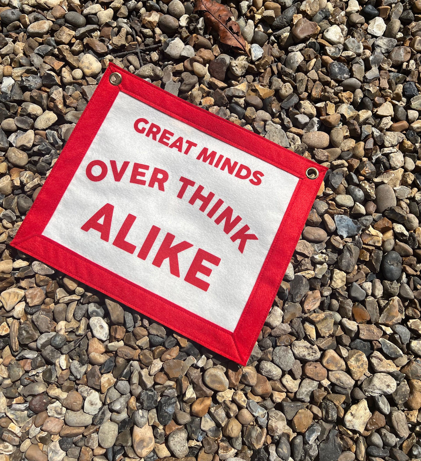 Great Minds Over Think Alike (Red Banner)