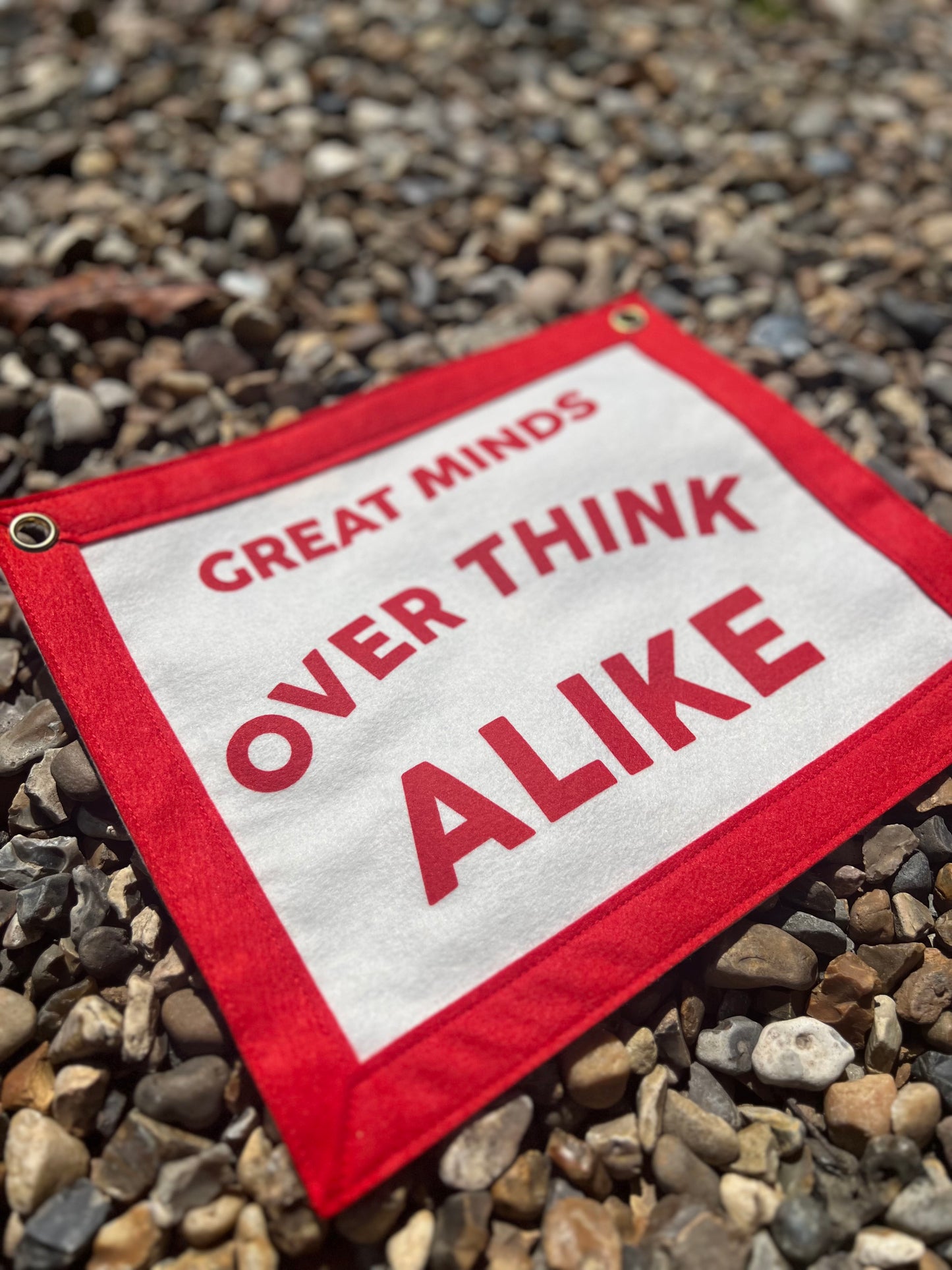 Great Minds Over Think Alike (Red Banner)