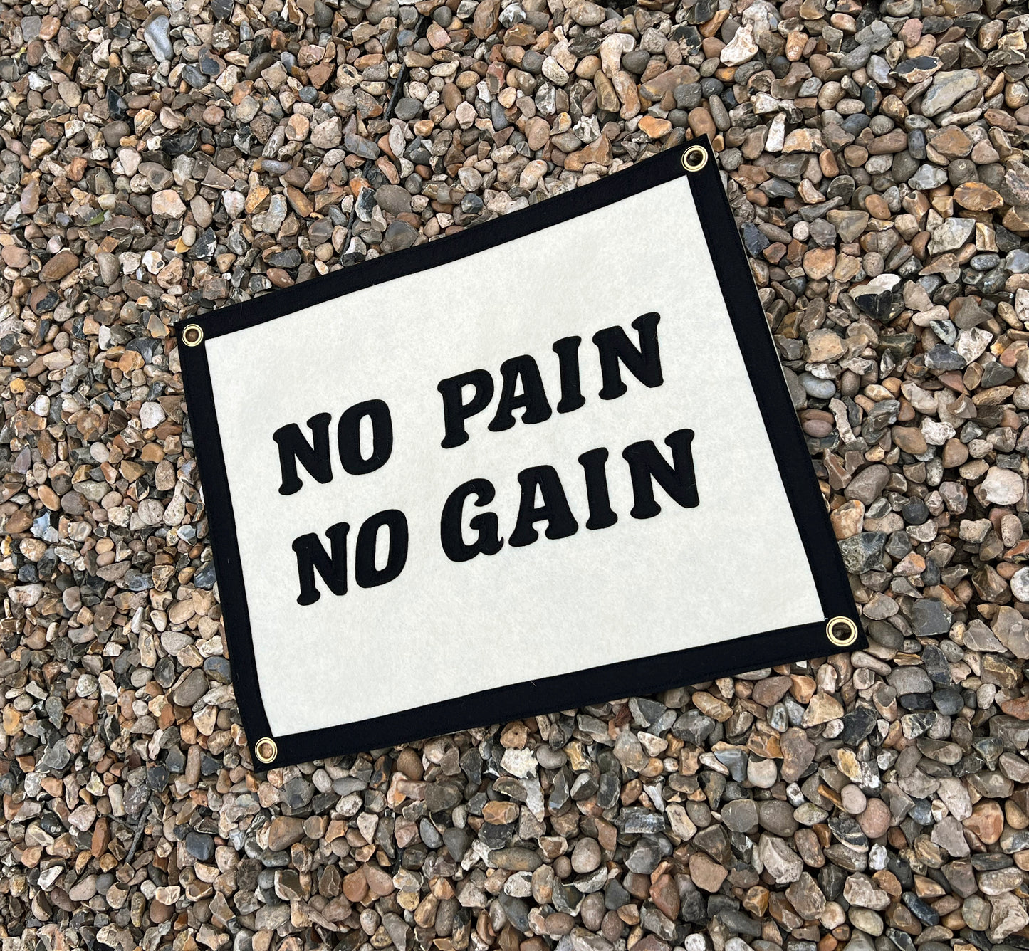 No Pain No Gain Banner