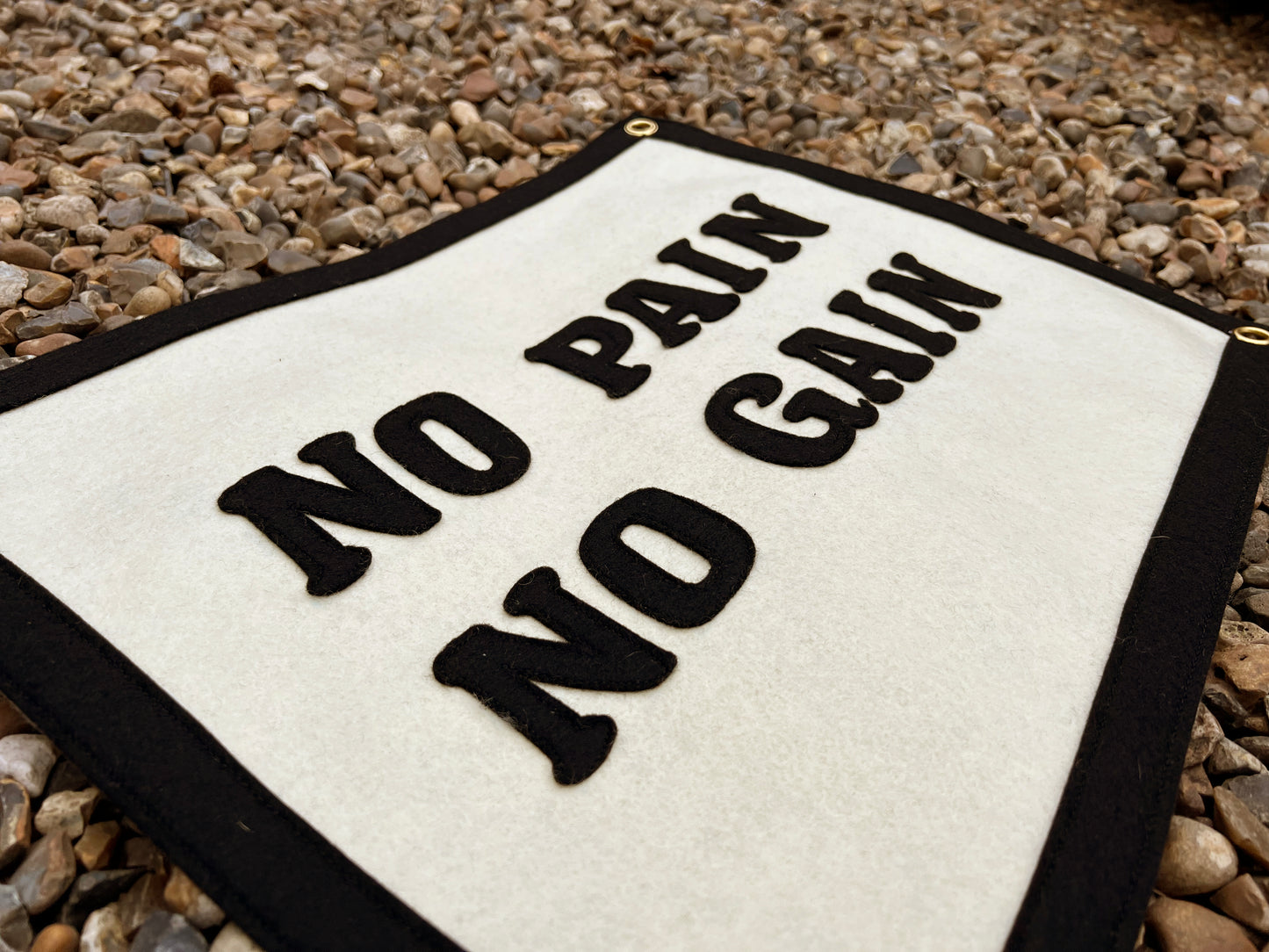 No Pain No Gain Banner