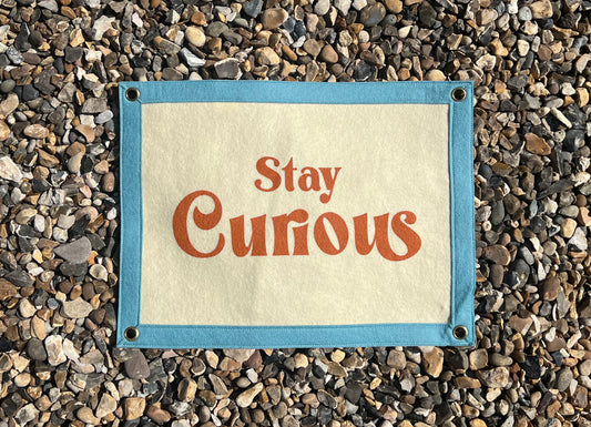 Stay Curious (Cream Banner)